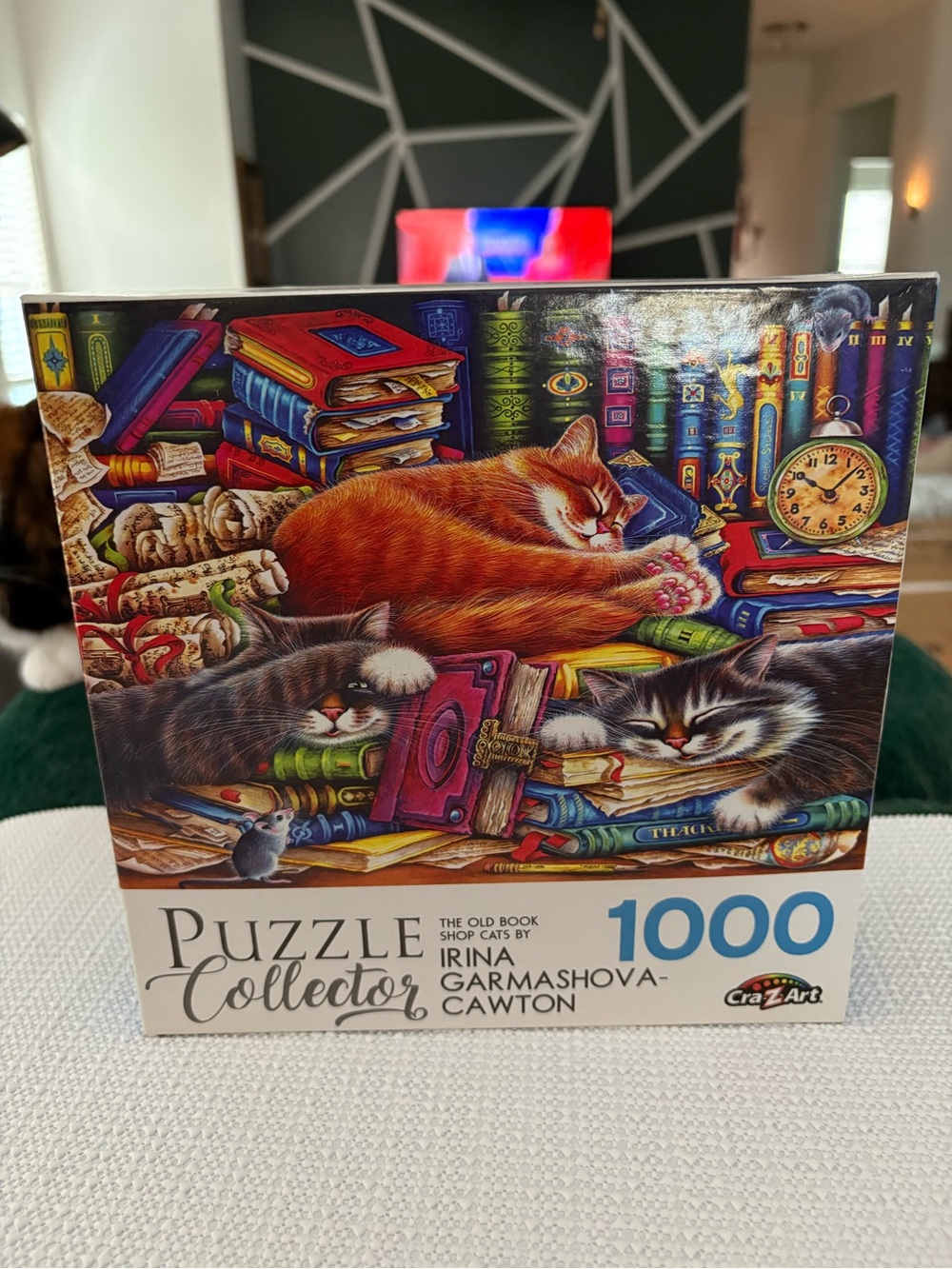 Puzzle Collector 1000-Piece Jigsaw Puzzle - Multicolor